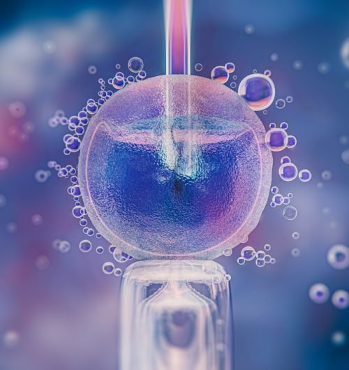 IVF Center