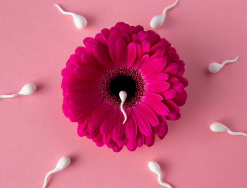 IUI Treatment